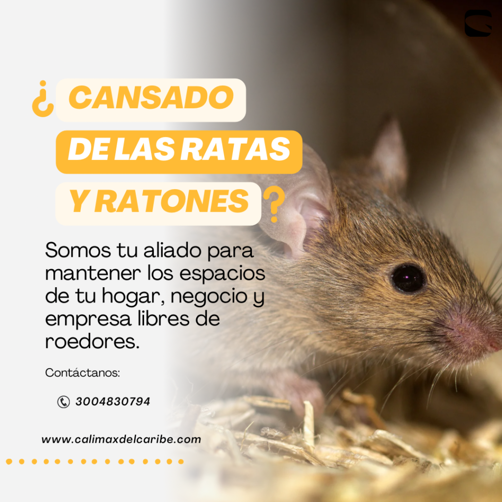 control de plagas más comunes